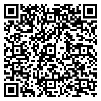 使用方法（動画）