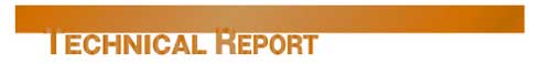 テクニカルレポート