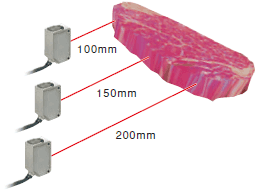 個性派ファミリー