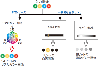 本格画像処理を惜しみなく凝縮