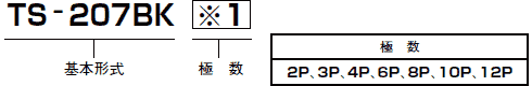 TS-207BK　型式仕様