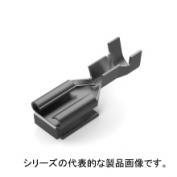 42806-2　.250 PB FAST REC IS TPBR