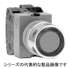 φ22　押ボタンスイッチLED照光　ALFW2B　（突形）（記名式）フルガード