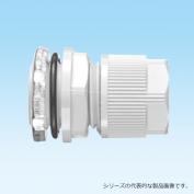 E2BG　ケイグランド　E2型/ノックアウト接続用コネクタ　管用平行おねじ付き