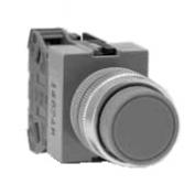 φ22　押ボタンスイッチ　ABW2　（突形）（モメンタリ）