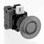 φ22　大形（φ40ボタン）・照光押ボタンスイッチ（モメンタリ）　HW1L-M4　